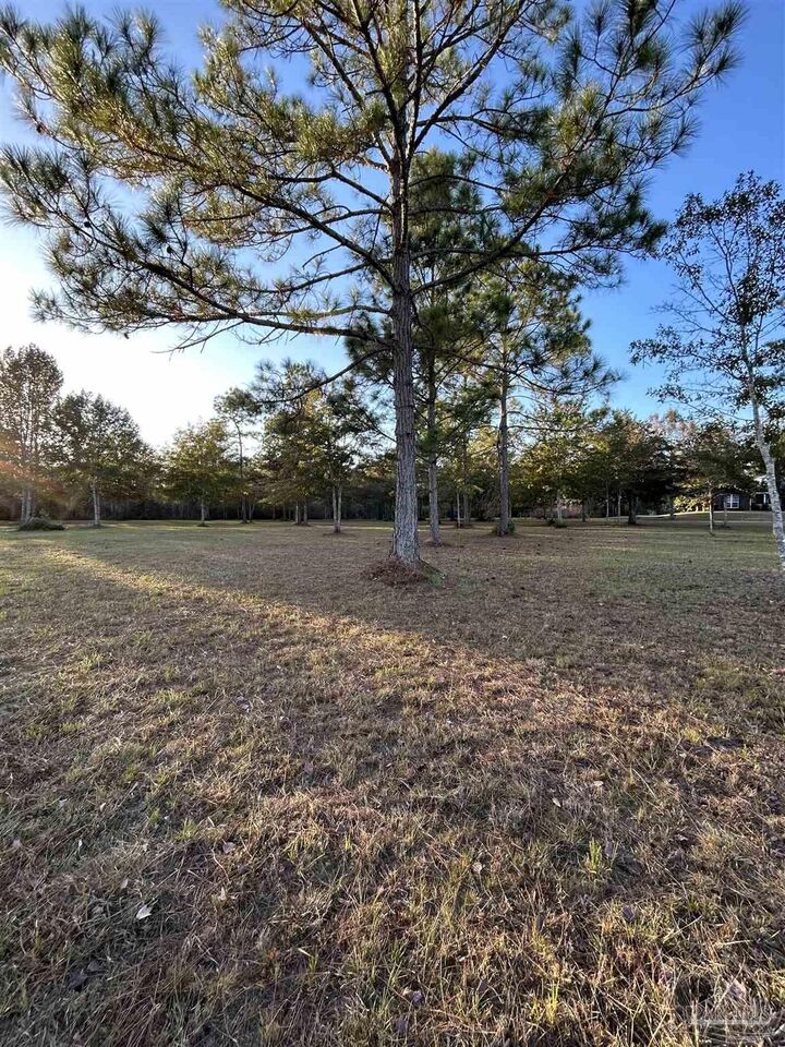 Property Photo: 0 Serenity Spring Dr FL 32571