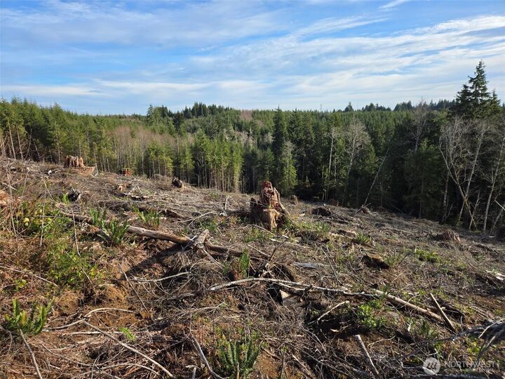 Property Photo:  0 End Of  Herbig Avenue  WA 98520 