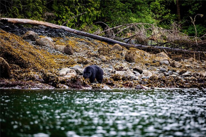 Property Photo:  Dl1833 Cracroft Island  BC V0N 3J0 