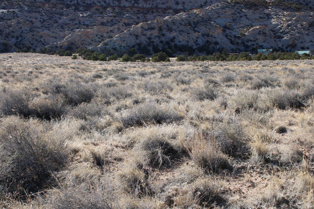 Property Photo:  140 E Teasdale 4  UT 84773 