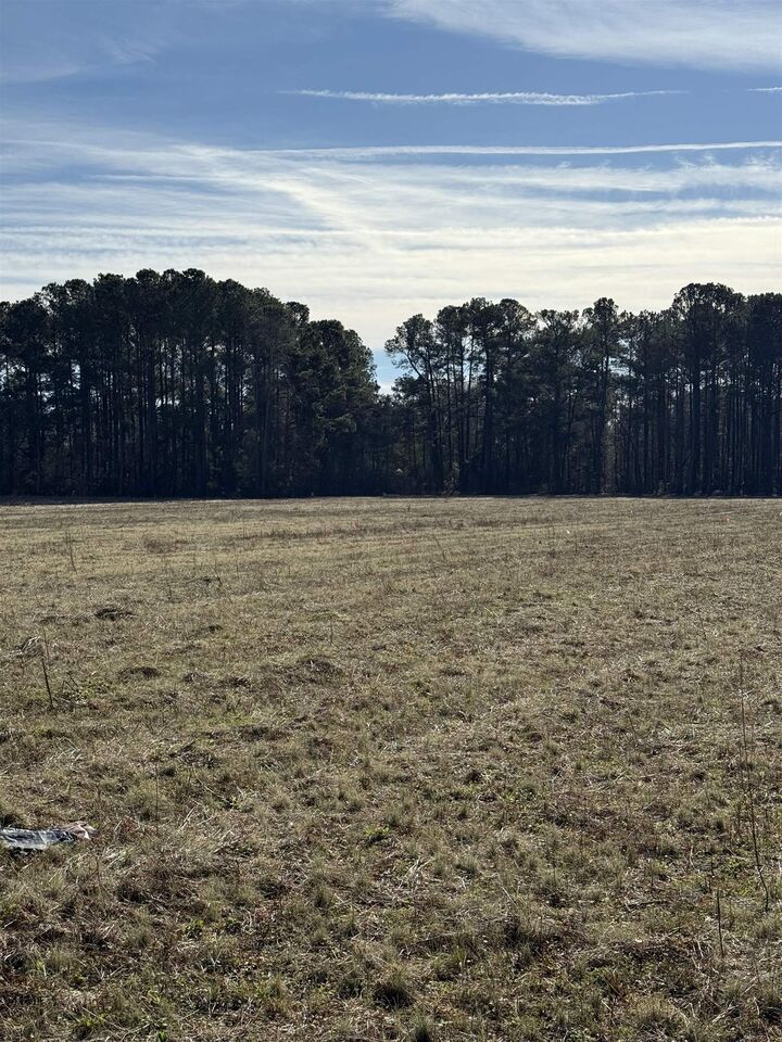Property Photo: Lot 7 Johnson Shelley Rd. SC 29526