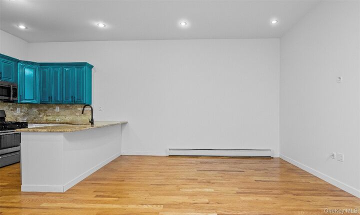 Property Photo: 255 Lincoln Avenue NY 11208