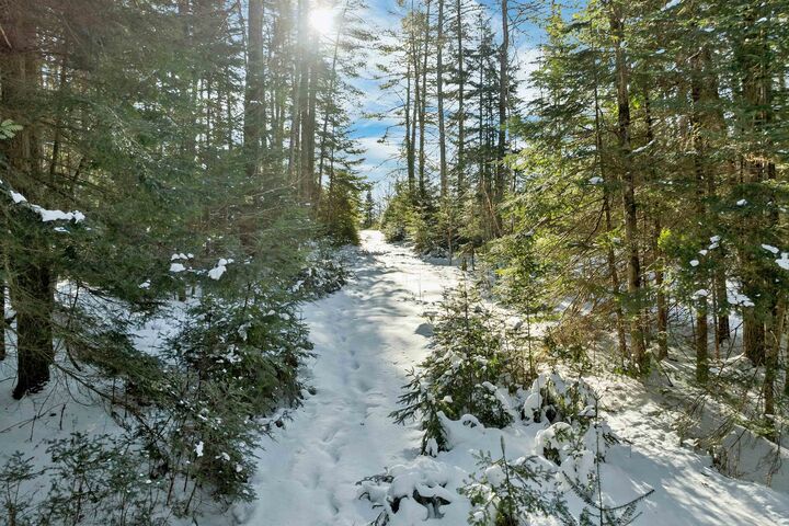 Property Photo: Nichols Road NH 03598