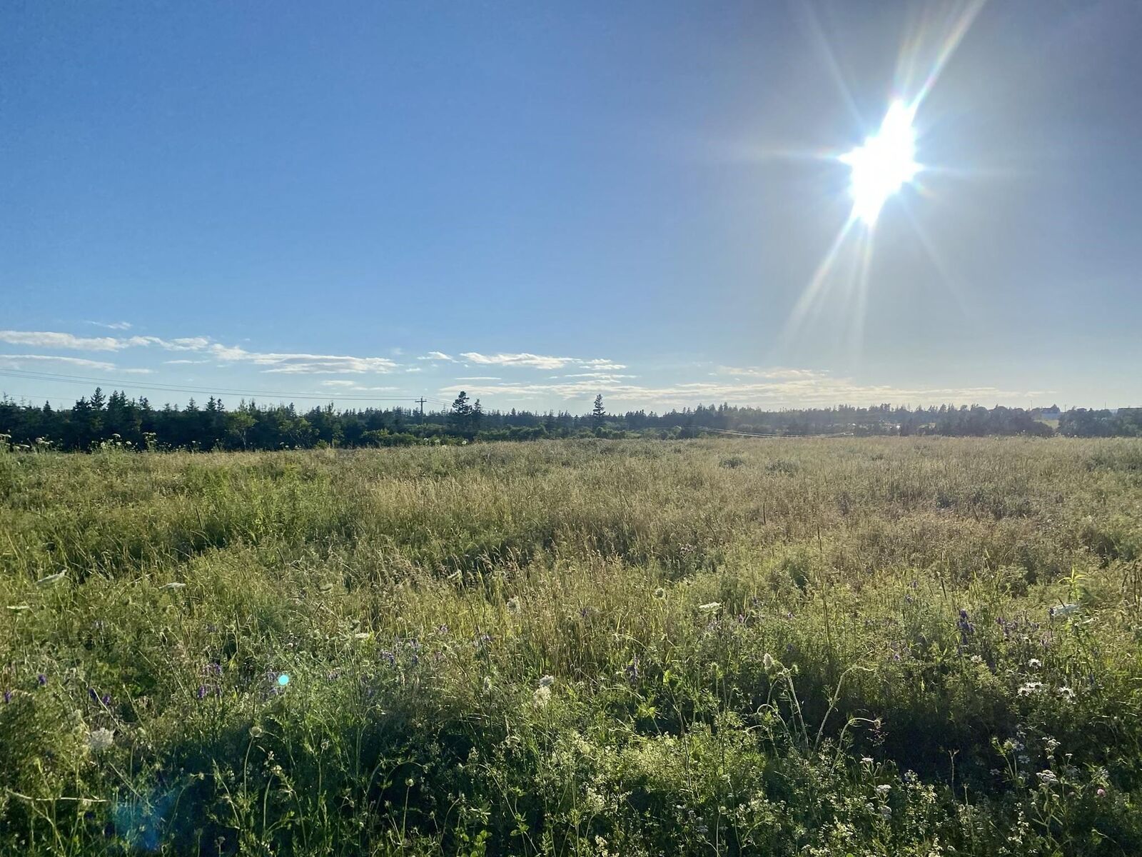 Photo de la propriété:  7 Rose Lane  PE C0A 1E0 