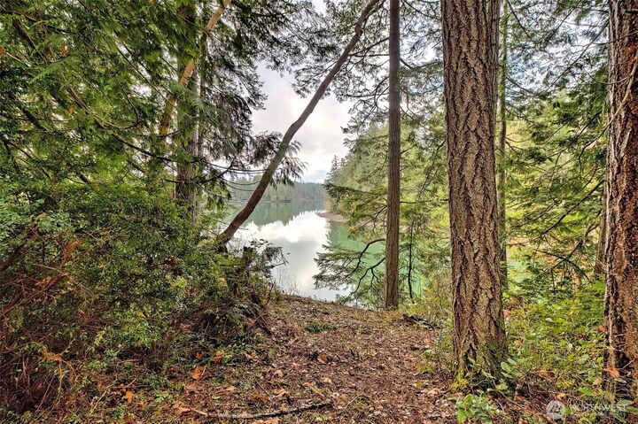 Property Photo: 120 SE Sells Drive WA 98584