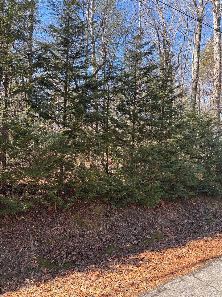 Property Photo:  686 W Cove Drive  SC 29664 