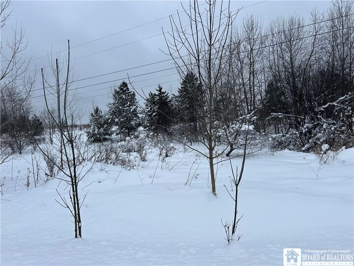 Property Photo: Pekin Road NY 14736