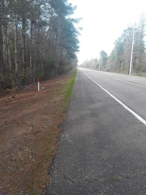 Property Photo: Tbd Hwy 51 Highway LA 70436