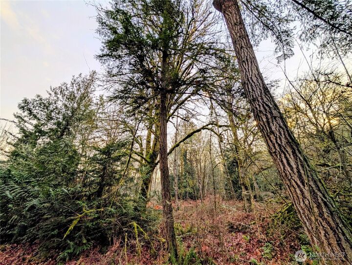 Property Photo:  0  Whiteman Road SW  WA 98349 