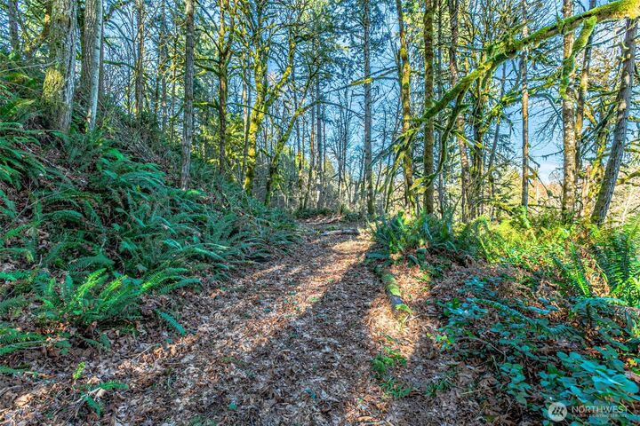 Property Photo:  0  Dempsey Lane SW  WA 98512 