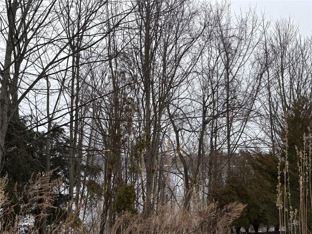 Property Photo:  351 County Road  RI 02806 