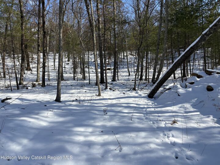 Property Photo: Tbd Route 28A NY 12491