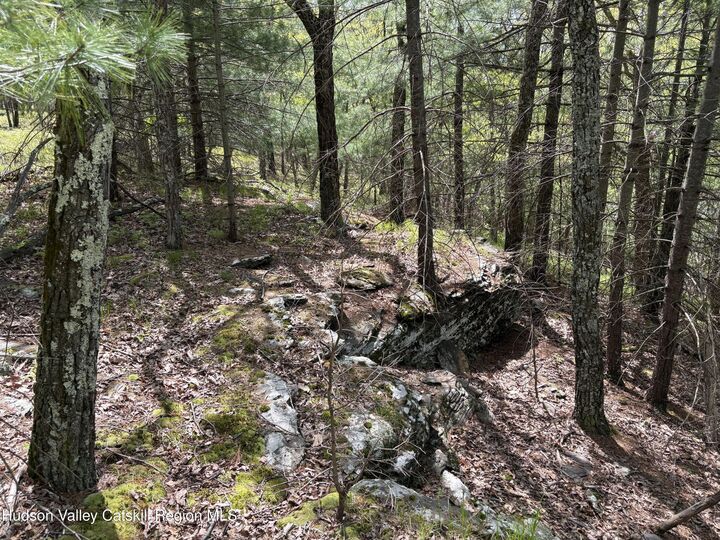 Property Photo: Tbd Route 28A NY 12491