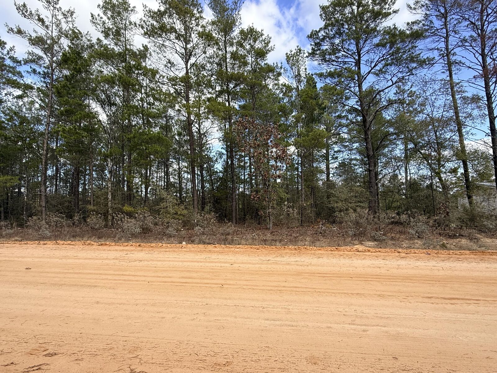 Property Photo:  Lot 2 E Violet East Lane  FL 32433 