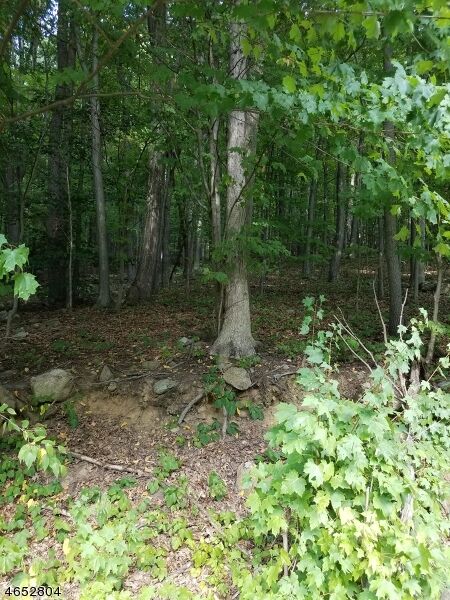 Property Photo:  1128 Route 10  NJ 07869 