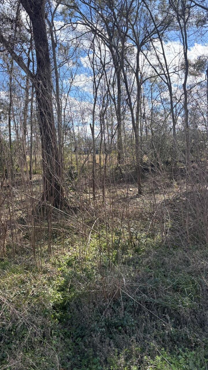 Property Photo:  Lot 622, 620 Marshall Avenue  TX 77515 