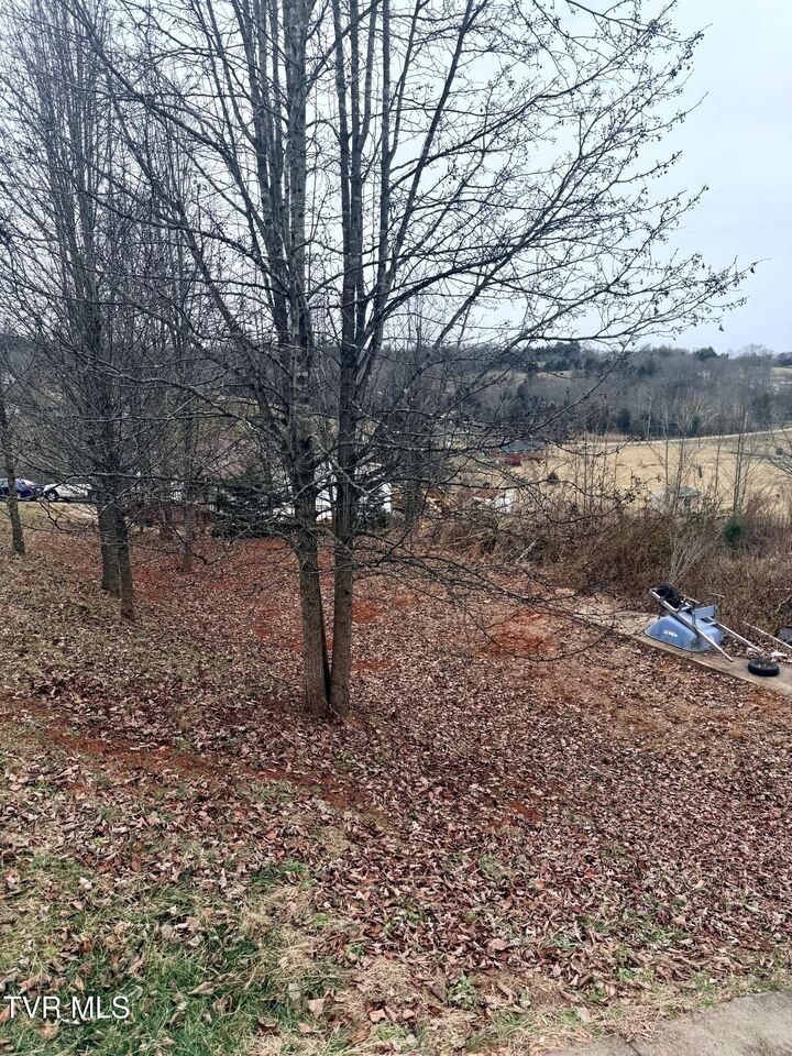 Property Photo:  163 Alexander Crossings Drive  TN 37642 