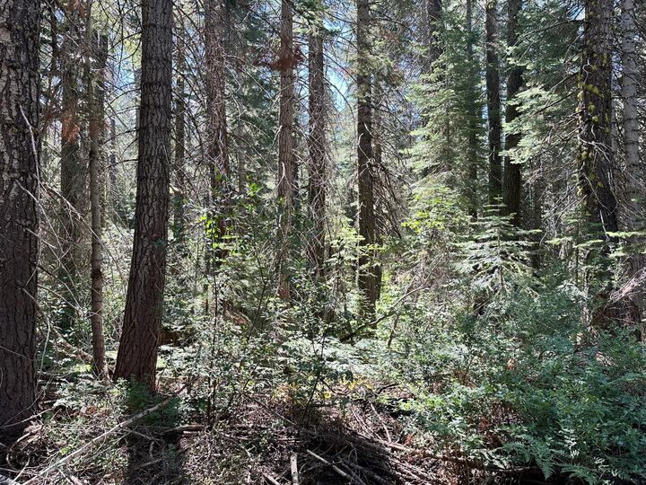 Property Photo: 19372 Marsh Mill Road CA 95959