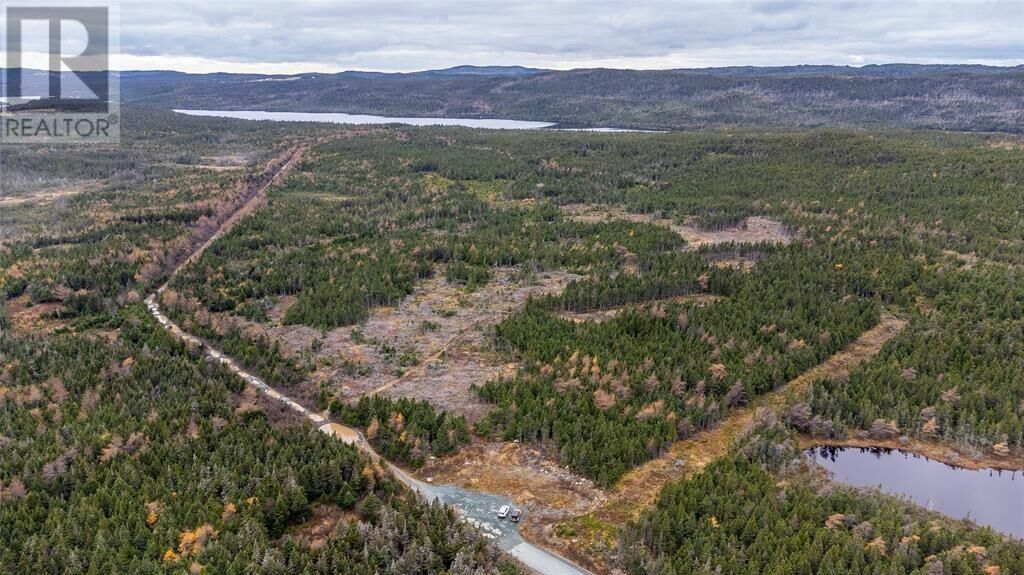 Property Photo:  0 Medalsis Pond Road  NL A1K 1C9 