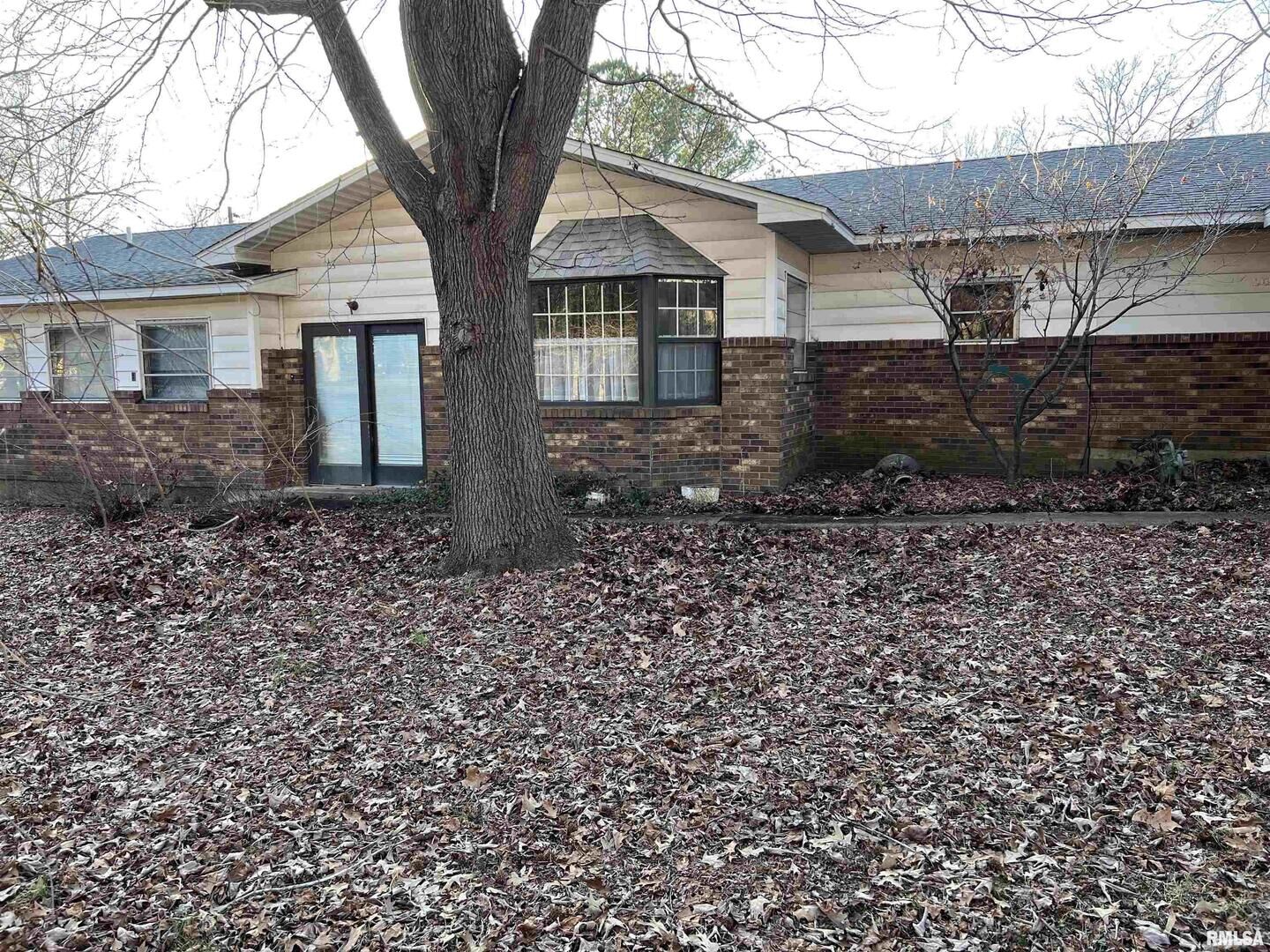 Property Photo:  403 N Wilson Street  IL 62949 