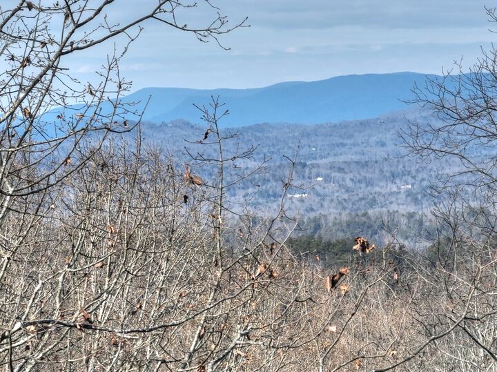 Property Photo: Lts 159+ Hickory Trace GA 30536