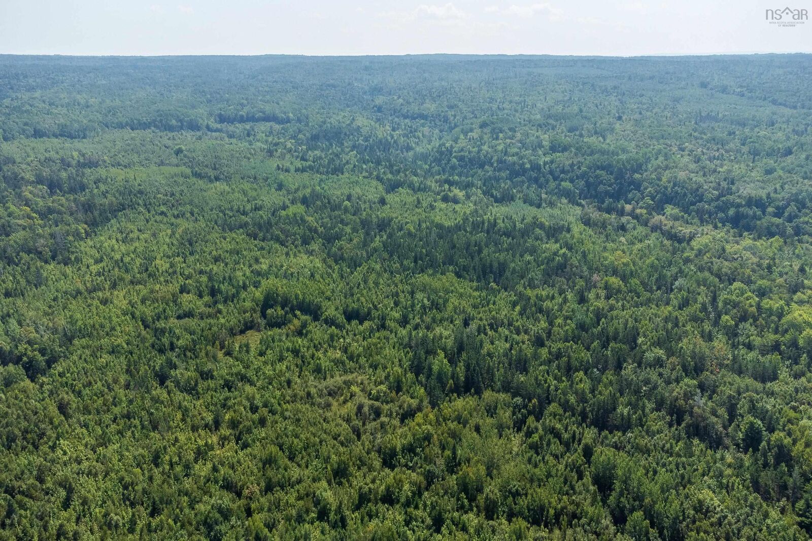 Property Photo:  Lots McNally Road  NS B0P 1C0 