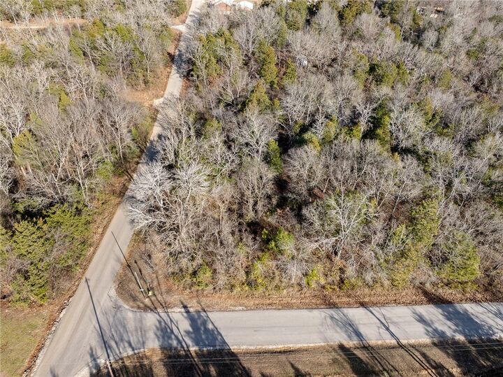 Property Photo:  Lot 107 Dove Street  AR 72644 