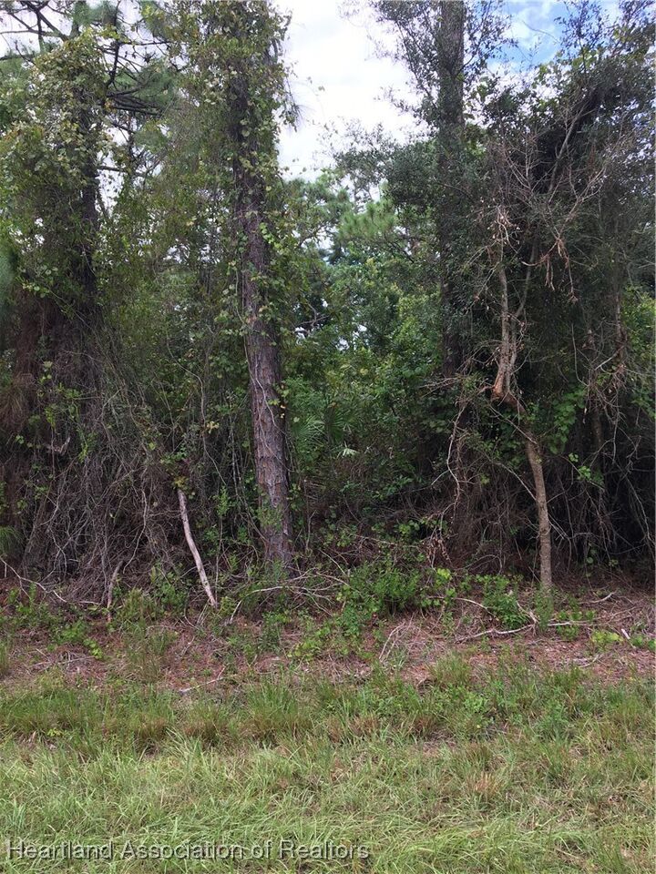 Property Photo:  3247 Forrest View Avenue  FL 33852 
