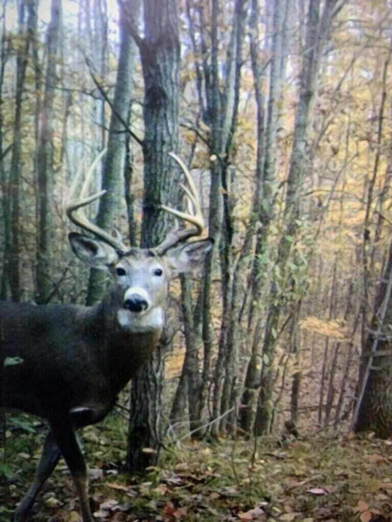 Property Photo:  V/L 125th Avenue  MI 49346 