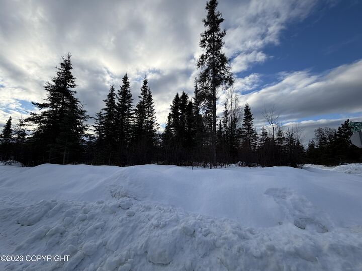 Property Photo:  1117 Inlet Woods Drive  AK 99611 