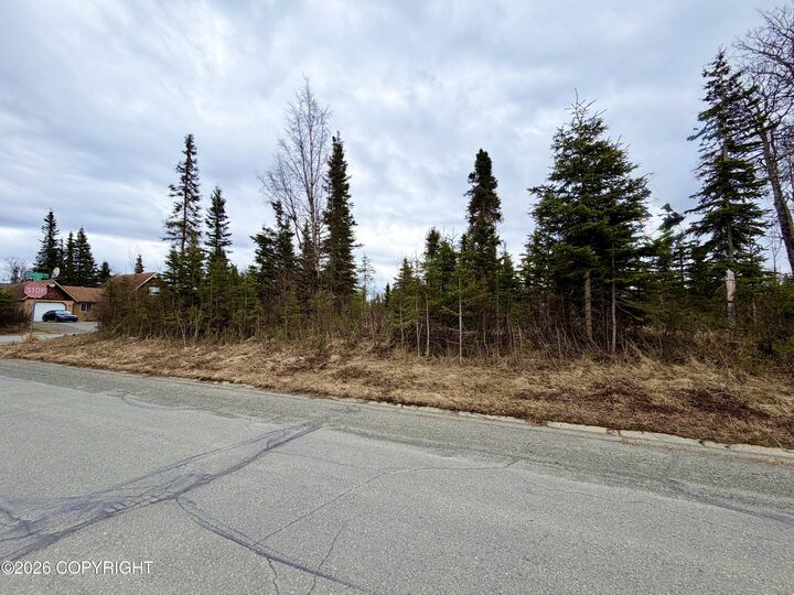Property Photo: 1117 Inlet Woods Drive AK 99611