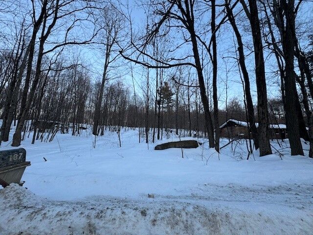 Property Photo:  184 Hoadley Hill  Road  NY 13865 