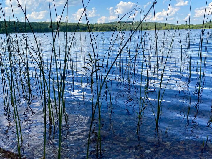 Property Photo:  1106 South Shore Drive  AR 72512 