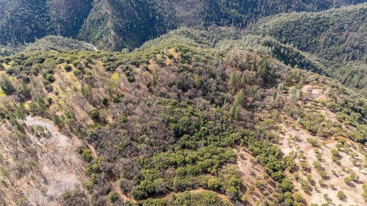 Property Photo: 25555 Forest Rte 3N11 CA 95310