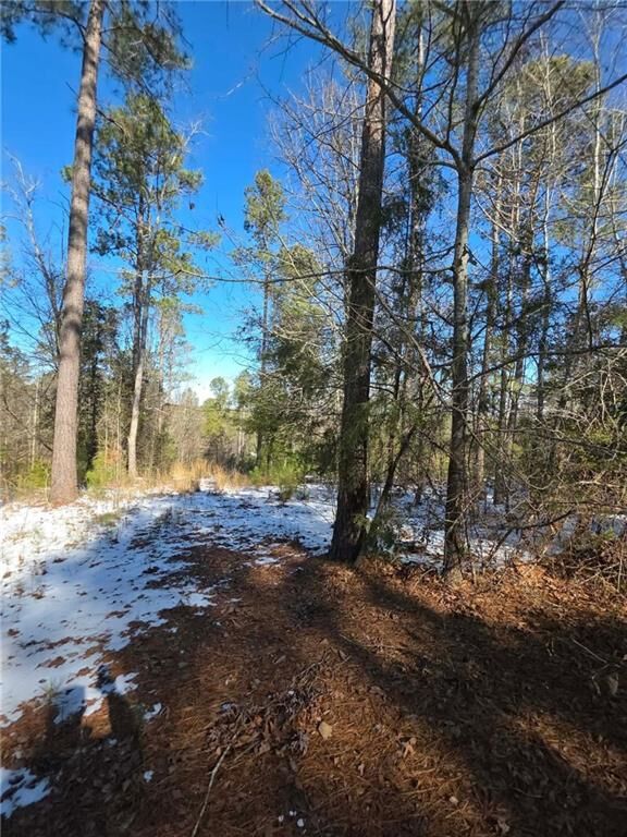 Property Photo:  Lot 56 Hornets Bridge Drive  GA 30635 