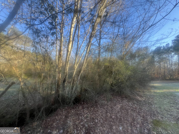 Property Photo:  587 E Johnson Street  GA 30179 