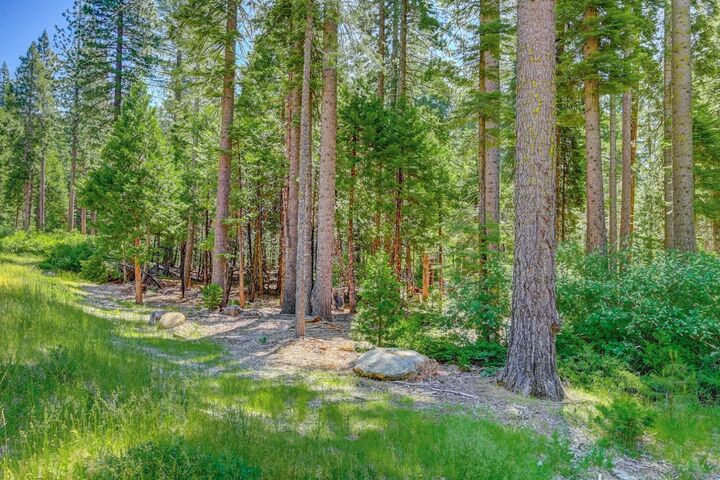 Property Photo:  10 Timber Trail Court  CA 95223 