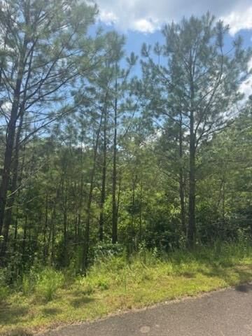 Property Photo:  Lt 43&44 Reece Mountain Road  GA 30536 
