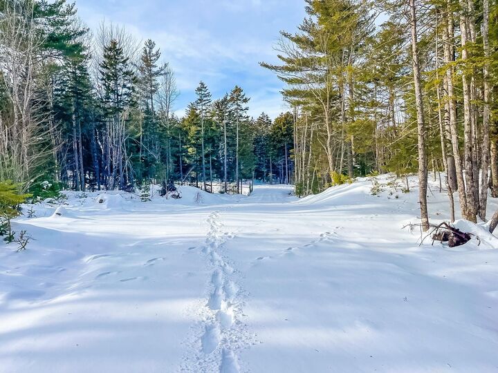Property Photo:  Lot 8 Conquerall Road  NS B0R 1G0 