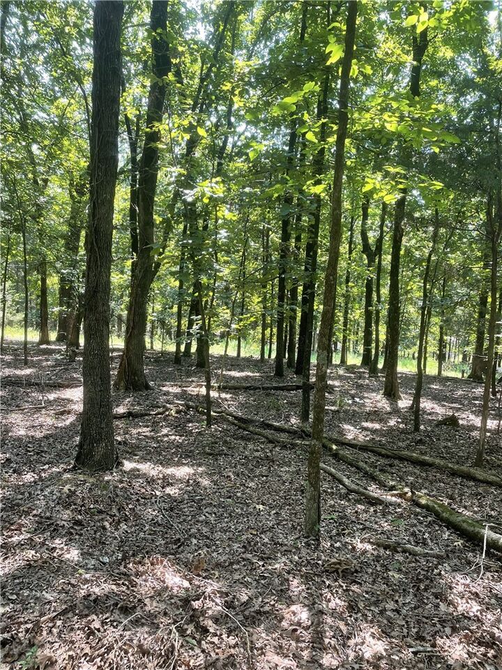 Property Photo:  312 Cr 3222 Two Ac  AR 72830 