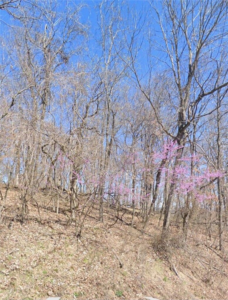 Property Photo:  5.16 Acres Summit Drive  AR 72631 