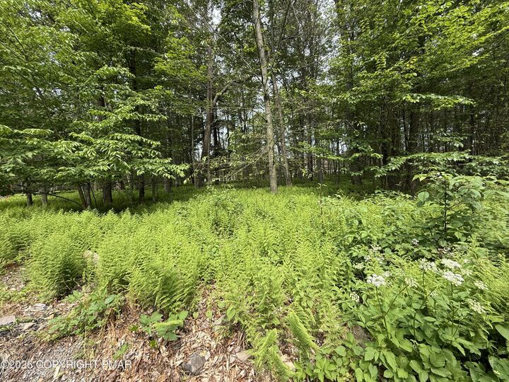 Property Photo:  Dorshimer Ave  PA 18610 