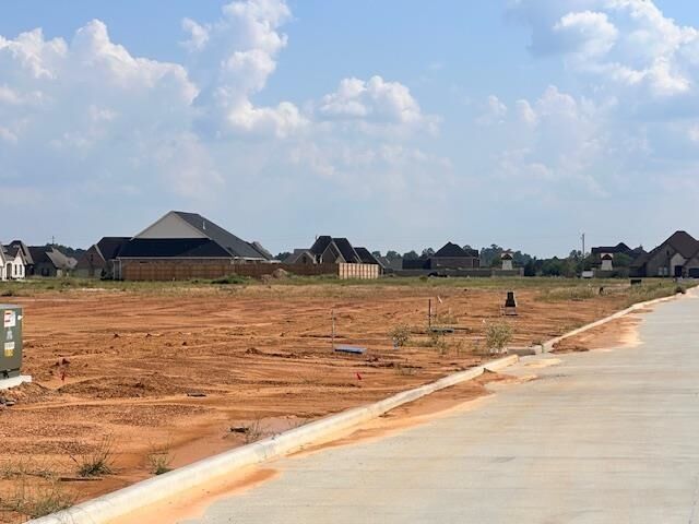 Property Photo:  1295 Natasha'S Way  TX 77657 