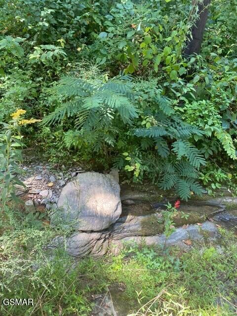 Property Photo: Lot .0001 Stepping Stone Drive TN 37862