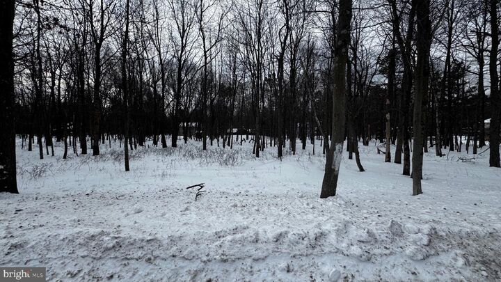 Property Photo:  0 Stony Mountain Road Lot Ev961  PA 18210 
