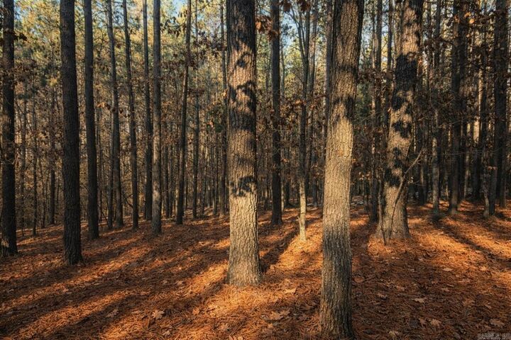 Property Photo:  18 Alzar Lane  AR 71909 