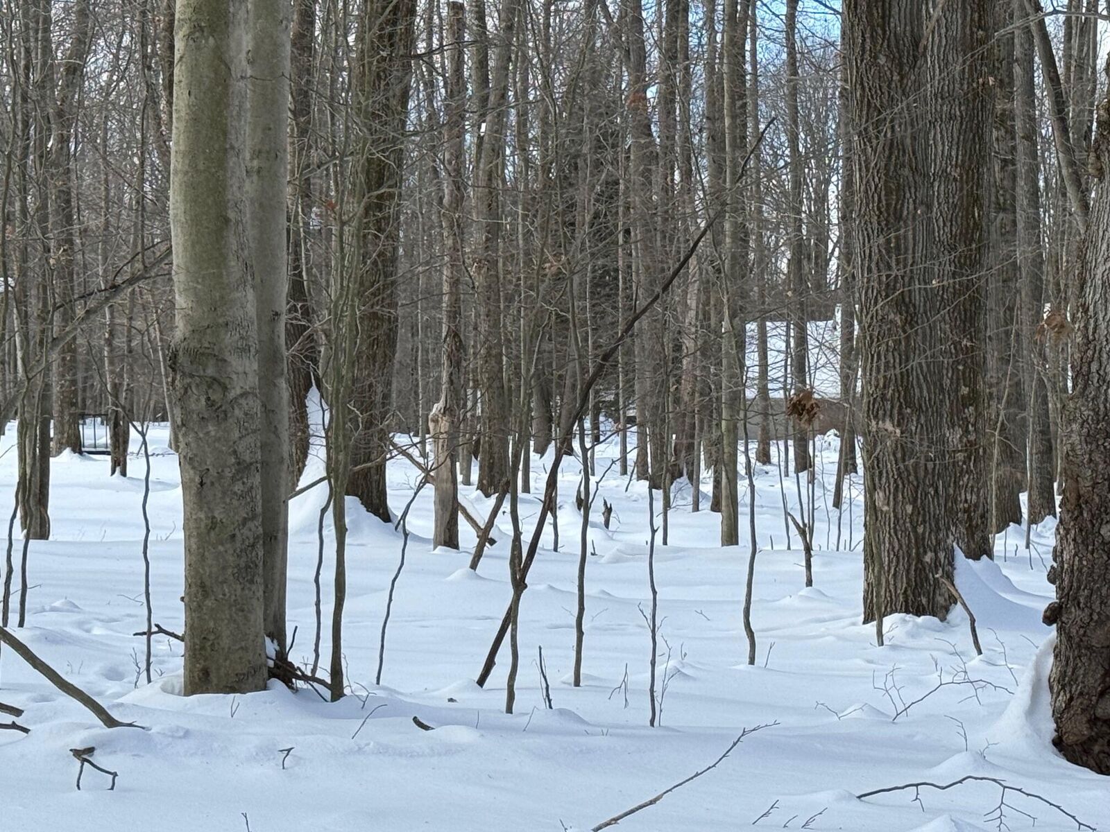 Property Photo: 18 Malcolm Rd PA 15801