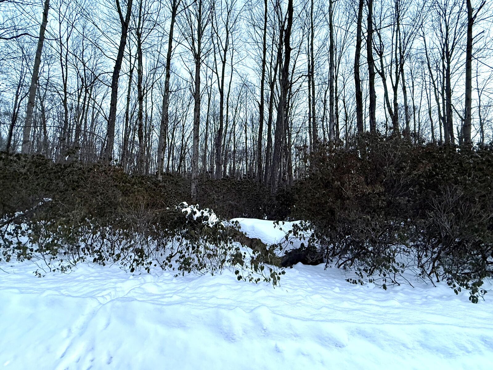 Property Photo: 18 Flamingo Rd PA 15801