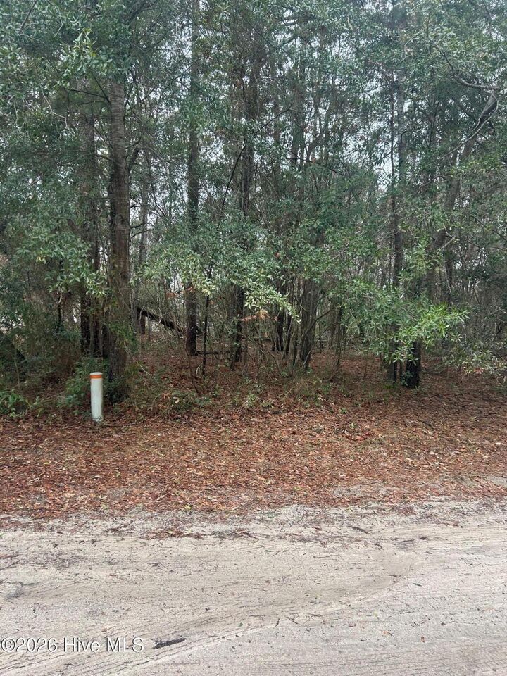 Property Photo:  103 38 Dogwood Lane  NC 28460 