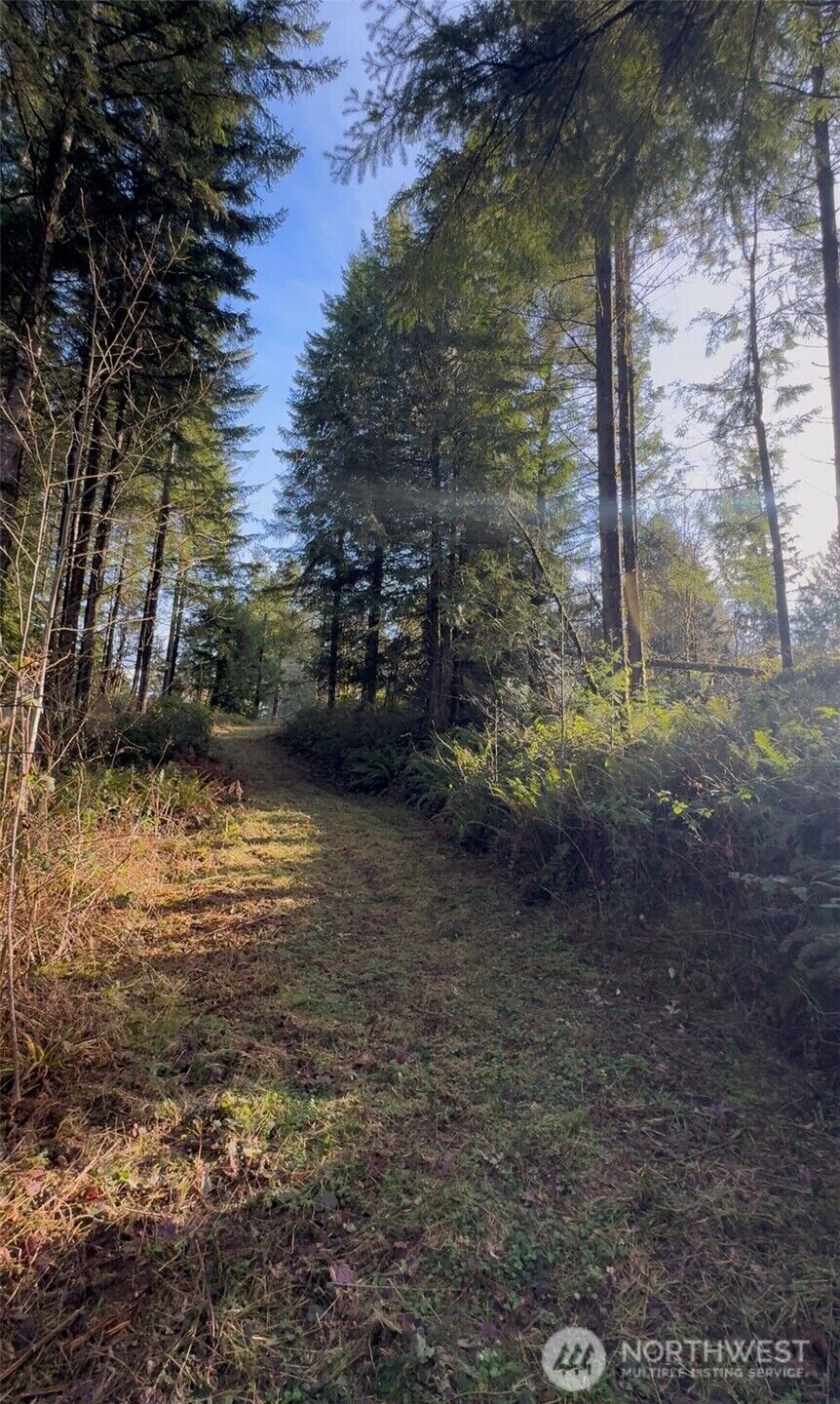 Property Photo:  0  Seminary Hill Road  WA 98531 